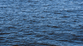 Тело 29-летней девушки нашли в воронежской реке Вороне