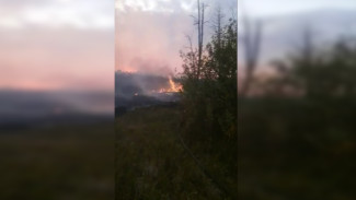 Самолёт и пожарный поезд тушат 130 га загоревшегося камыша в Воронежской области