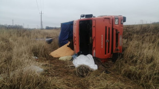 В Воронежской области КамАЗ вылетел в кювет и перевернулся: водитель погиб