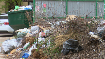Воронежские дворы завалило мусором