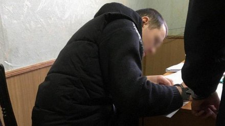 Арестованный за кражу коней парень обвинил в побоях сотрудников воронежского СИЗО