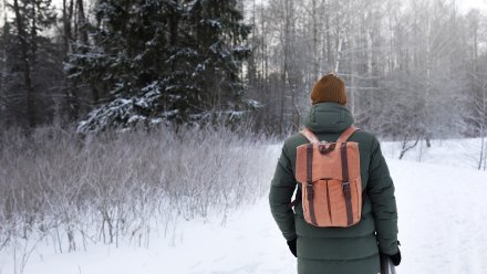 В Воронежской области в феврале пропали без вести более 80 человек