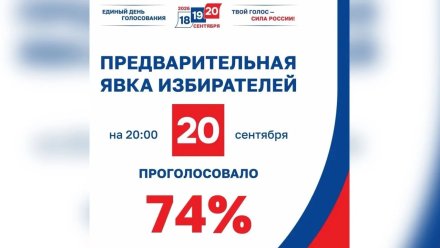 В Воронежской области завершились выборы депутатов Госдумы IX созыва