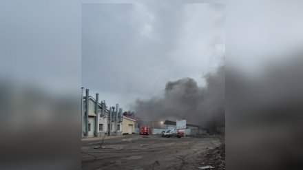 Воронежцы сообщили о крупном пожаре в Отрожке
