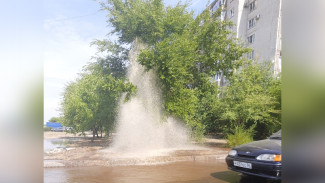В Воронеже из-под земли забил трёхметровый фонтан