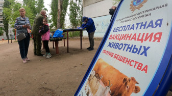 Больше 2 тысяч домашних животных привили от бешенства в Воронежской области