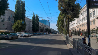 В мэрии опровергли запуск выделенной полосы на Плехановской и Московском проспекте