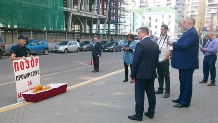 Воронежский зоозащитник принёс к зданию прокуратуры гроб с плюшевой собакой