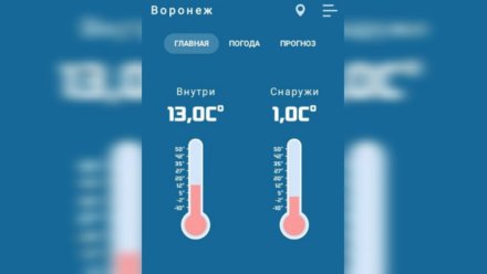 Жильцы воронежской 16-этажки пожаловались на еле тёплые батареи