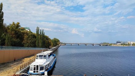 Первую очередь Петровской набережной и школу на Домостроителей в Воронеже сдадут в декабре 