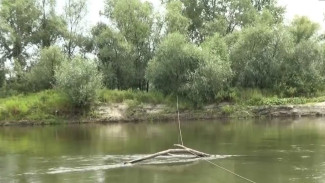 Ребёнок утонул в реке в Воронежской области