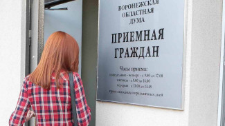 ЖКХ, летний отдых и защита детей. Депутаты облдумы ответили на обращения воронежцев