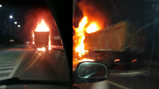 В Воронежской области на ходу загорелся грузовик