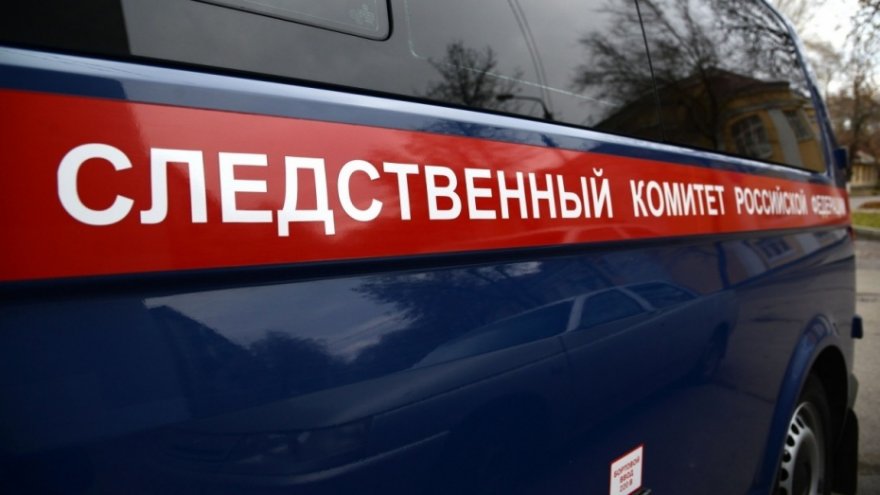 В Воронежской области молодую женщину убило током