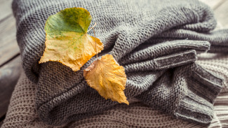 Резкое похолодание спрогнозировали на праздничных выходных в Воронежской области