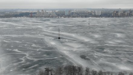 Провалившуюся под лёд водохранилища бездомную собаку спасли в Воронеже