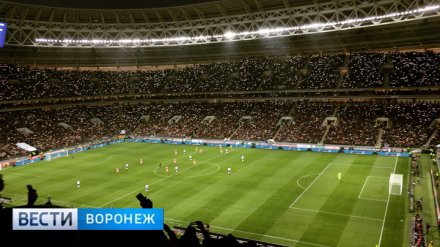 Воронежец рассказал о впечатлениях от обновлённых «Лужников» и матче Россия – Аргентина