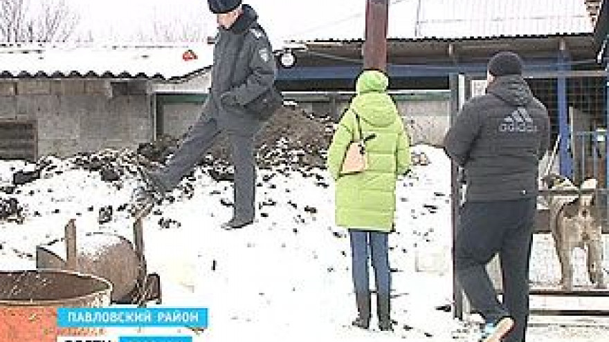 Сотрудники убойных пунктов выбрасывают отходы производства за забор
