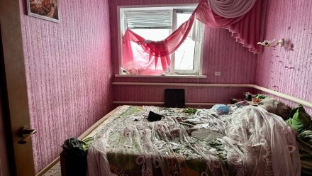 Последствия обстрела жилых домов в белгородском селе показали на фото