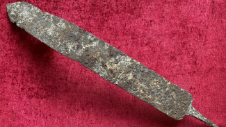В Воронежской области нашли железный меч 4-6 веков