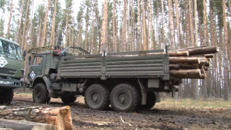 Таловские волонтёры обеспечили участников СВО брёвнами для блиндажей