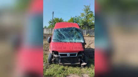 Воронежцы сообщили о ДТП с влетевшим в ЛЭП микроавтобусом в Семилуках