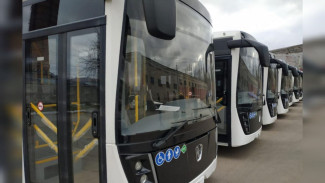 В Воронежской области появятся ещё 43 новых автобуса