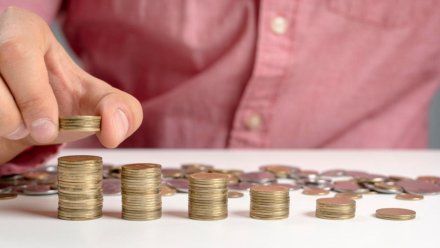 В Воронежской области установили прожиточный минимум на 2026 год