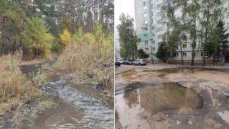 В Воронеже парк и несколько дворов превратились в реки из-за коммунальной аварии