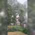 Мощный ливень обрушился на Воронеж в последний день рабочей недели