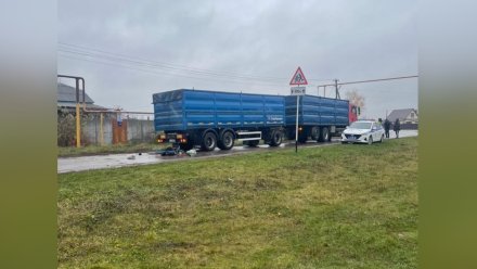 В Воронежской области грузовик насмерть сбил 72-летнего велосипедиста 