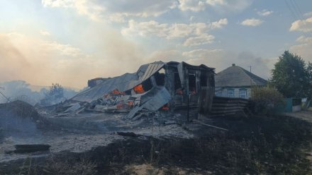 Спасатели локализовали масштабный пожар в Богучарском районе