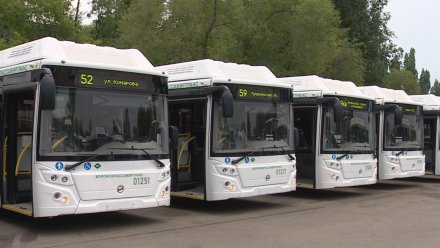 Новые автобусы с кондиционерами попали в два ДТП в центре Воронежа 