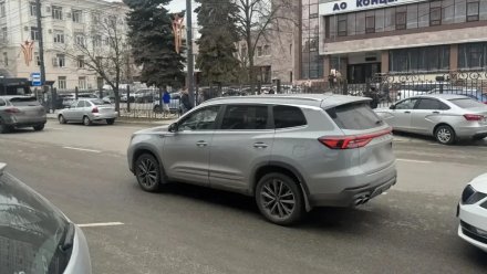 Дедушку сбили насмерть на Пушкинской в Воронеже