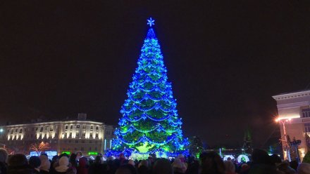 В Воронеже отказались от предложения установить главную новогоднюю ёлку за 1 копейку