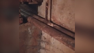 Подвал воронежской 5-этажки затопило фекалиями из-за лопнувшей трубы