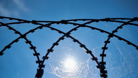 Архитектора из Воронежа приговорили к колонии за призывы к терроризму