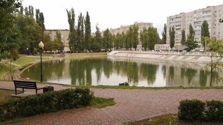 Воронежские следователи начали проверку из-за найденного трупа в озере на Минской