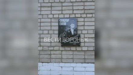 В Воронеже открыли посвящённую Юрию Хою памятную доску