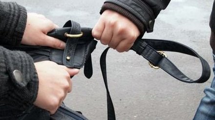 В Воронеже грабитель напал на пенсионерку в лесу
