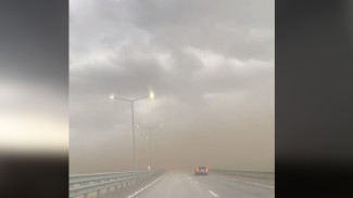 Песчаная буря накрыла трассу М-4 «Дон» в Воронежской области