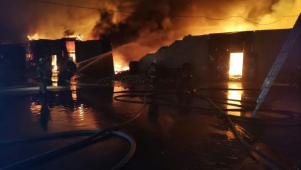 В Воронеже локализовали крупный пожар на складе