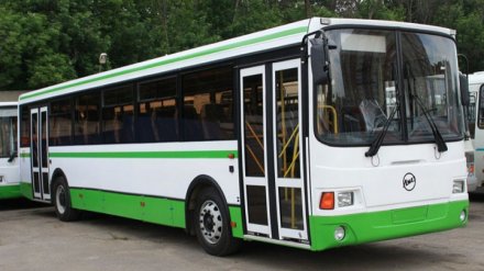 В Воронеже женщина выпала из отъезжающей от остановки маршрутки