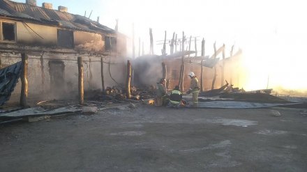 Поврежденный огнём Ломовской парк восстановят за счёт бюджета Воронежской области
