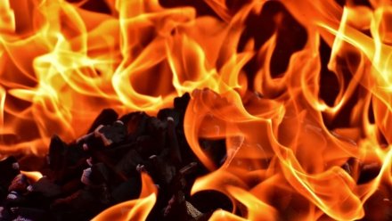 Производственное здание загорелось утром в Воронежской области