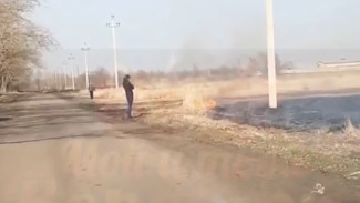 Воронежцы сняли на видео поджигателей сухой травы в Масловке