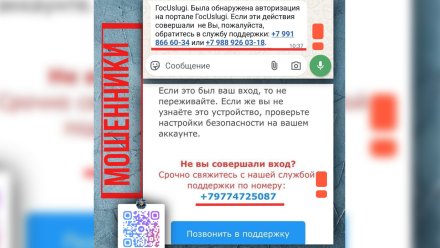 Воронежцев предупредили о фейковых сообщениях о взломе «Госуслуг»