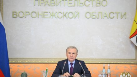 Верхнемамонский район продолжил работу с инвесторами 