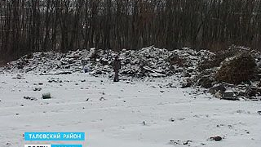 Стихийная свалка на территории заказника "Каменная степь" выросла до 1,5 гектаров