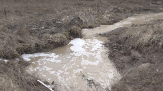 Эксперты подтвердили наличие навоза в затопивших воронежское село зловонных стоках
